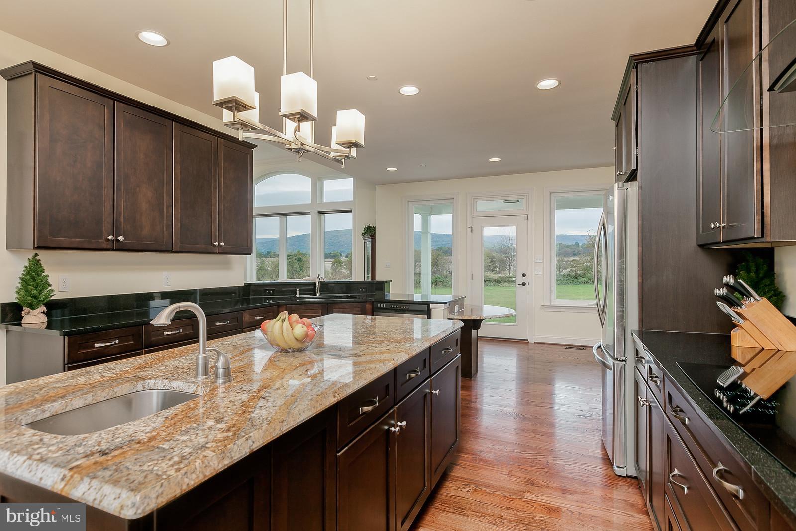 10138 Masser Road Frederick, MD 21702 - Photo 9 of 30 Granite Tops, HUGE Island, SS Appliances, 2 Sinks