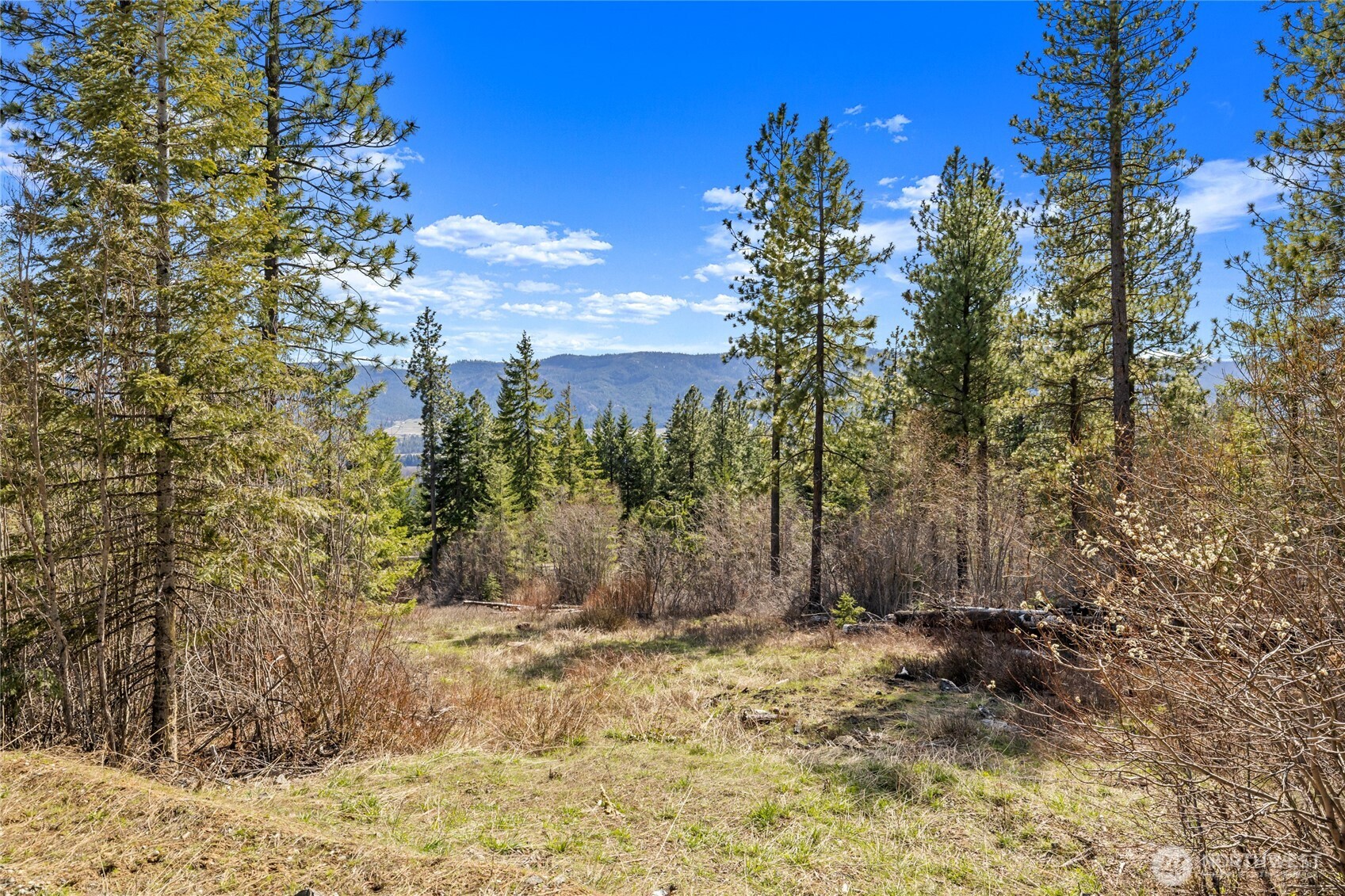 6 Forest Ridge Cle Elum, WA 98922 - Photo 1 of 28