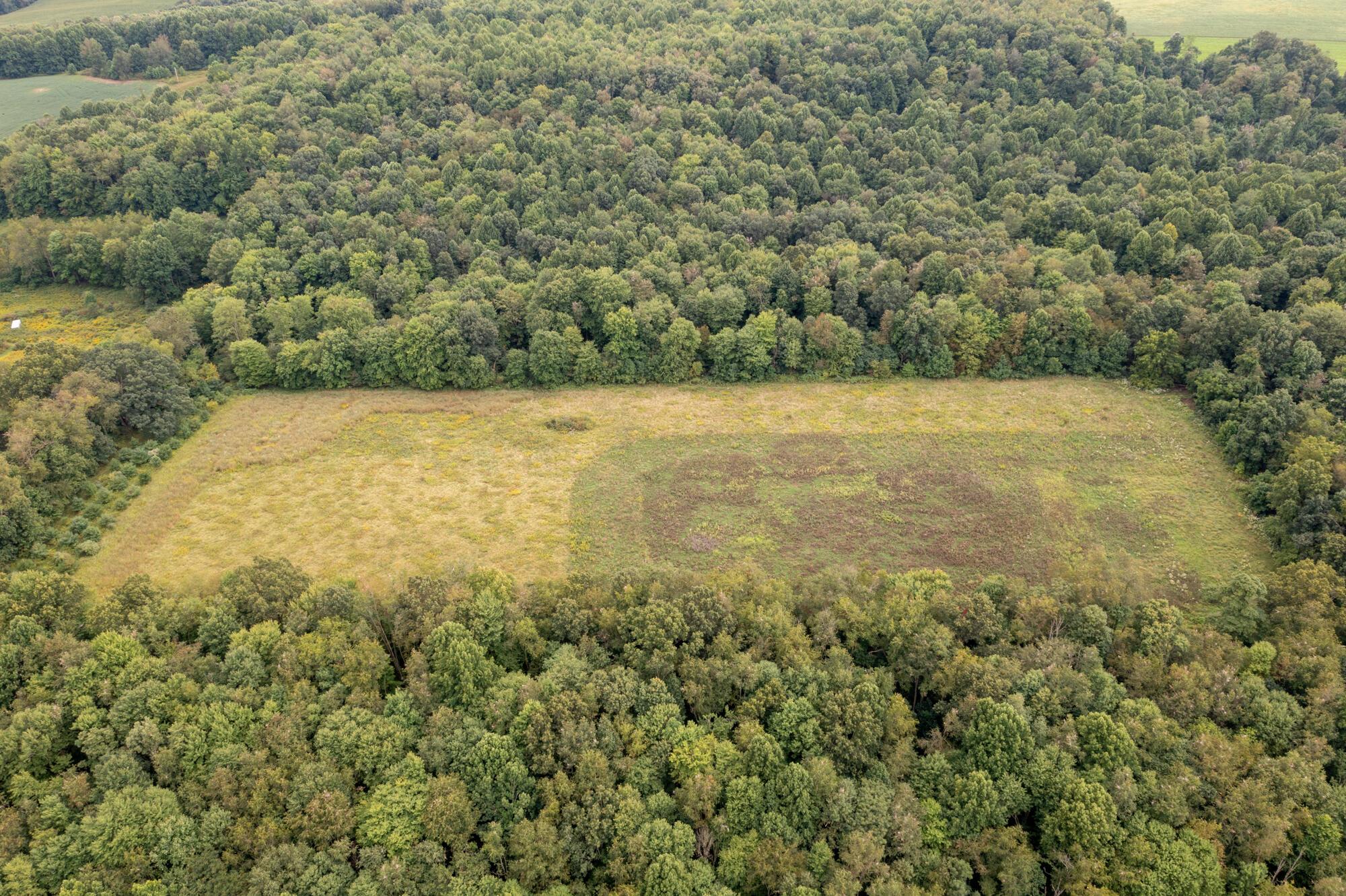 0 Daniels Road Mount Vernon, OH 43050 - Photo 4 of 25 DJI_0315
