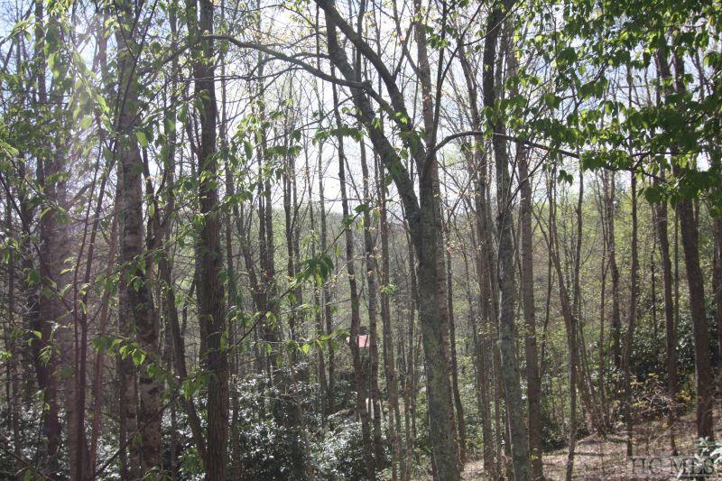 Lot 32 Center Ridge Road Sylva, NC 28779 - Photo 1 of 8 Gallery Image 1