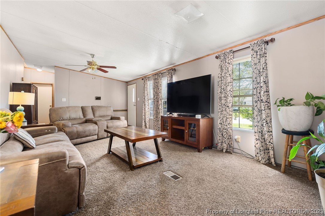 4639 Desert Ridge Road Parkton, NC 28371 - Photo 3 of 28 Gallery Image 3