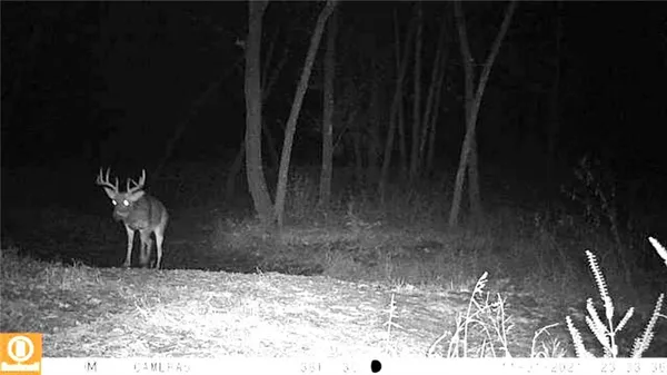 $999,000 | 33000 East 331st Street, Garden City, MO 64747