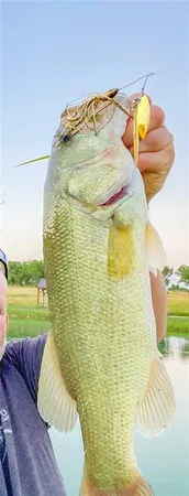 $999,000 | 33000 East 331st Street, Garden City, MO 64747