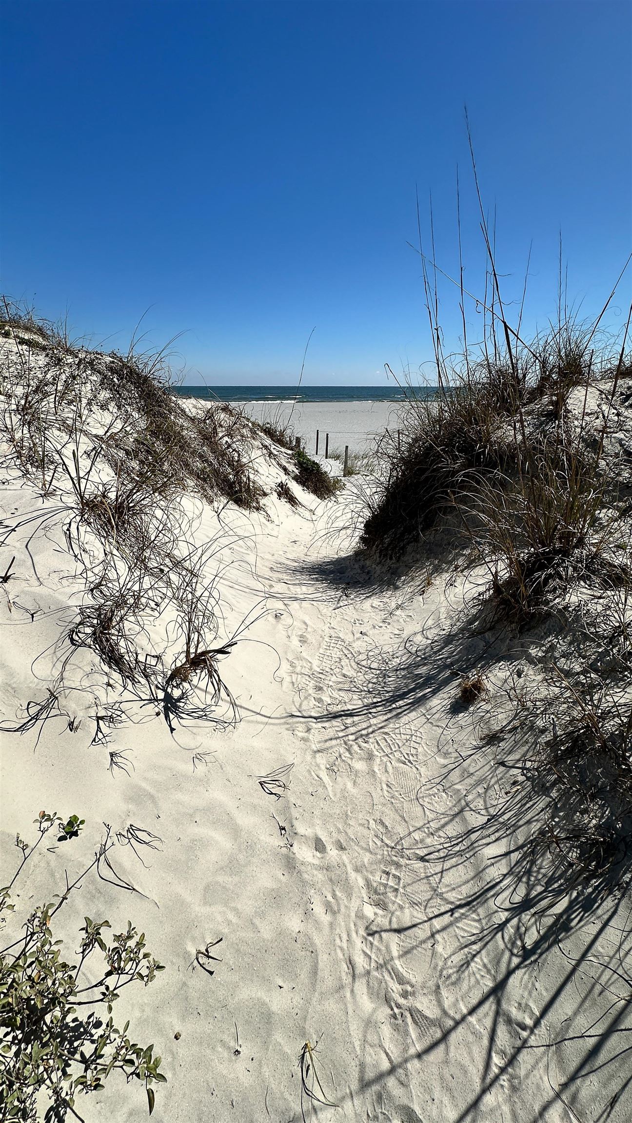 2 11th Street St. Augustine Beach, FL 32080 - Photo 49 of 72 Water view with nearby beach