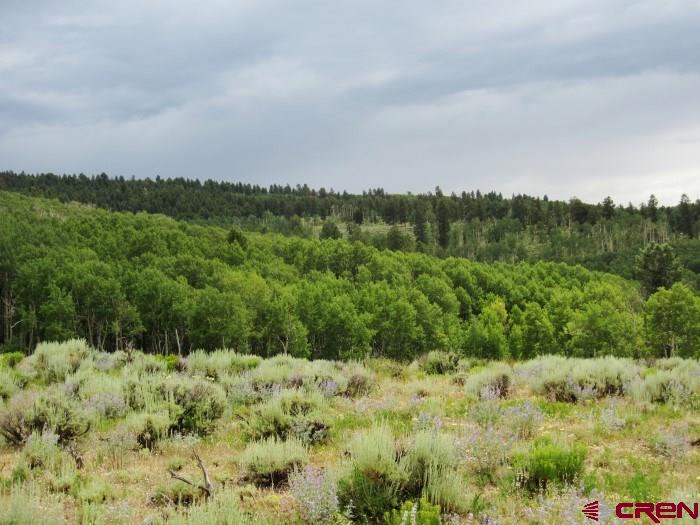Blm Road 3063 Gunnison, CO 81230 - Photo 14 of 15