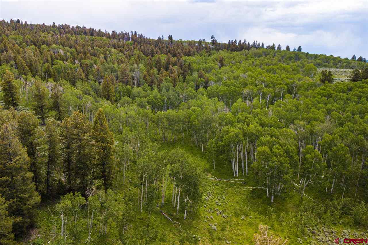Blm Road 3063 Gunnison, CO 81230 - Photo 4 of 15 a view of a city