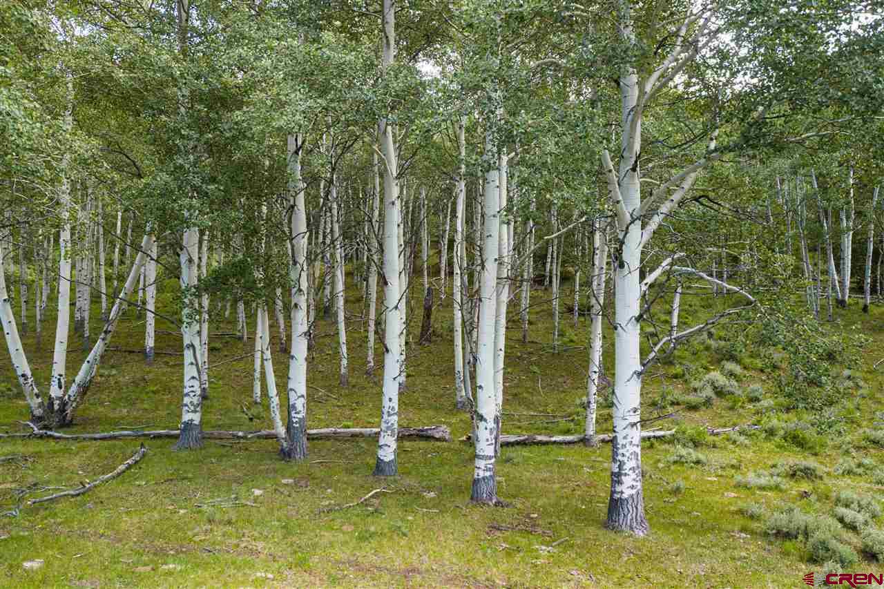 Blm Road 3063 Gunnison, CO 81230 - Photo 8 of 15 a view of a backyard