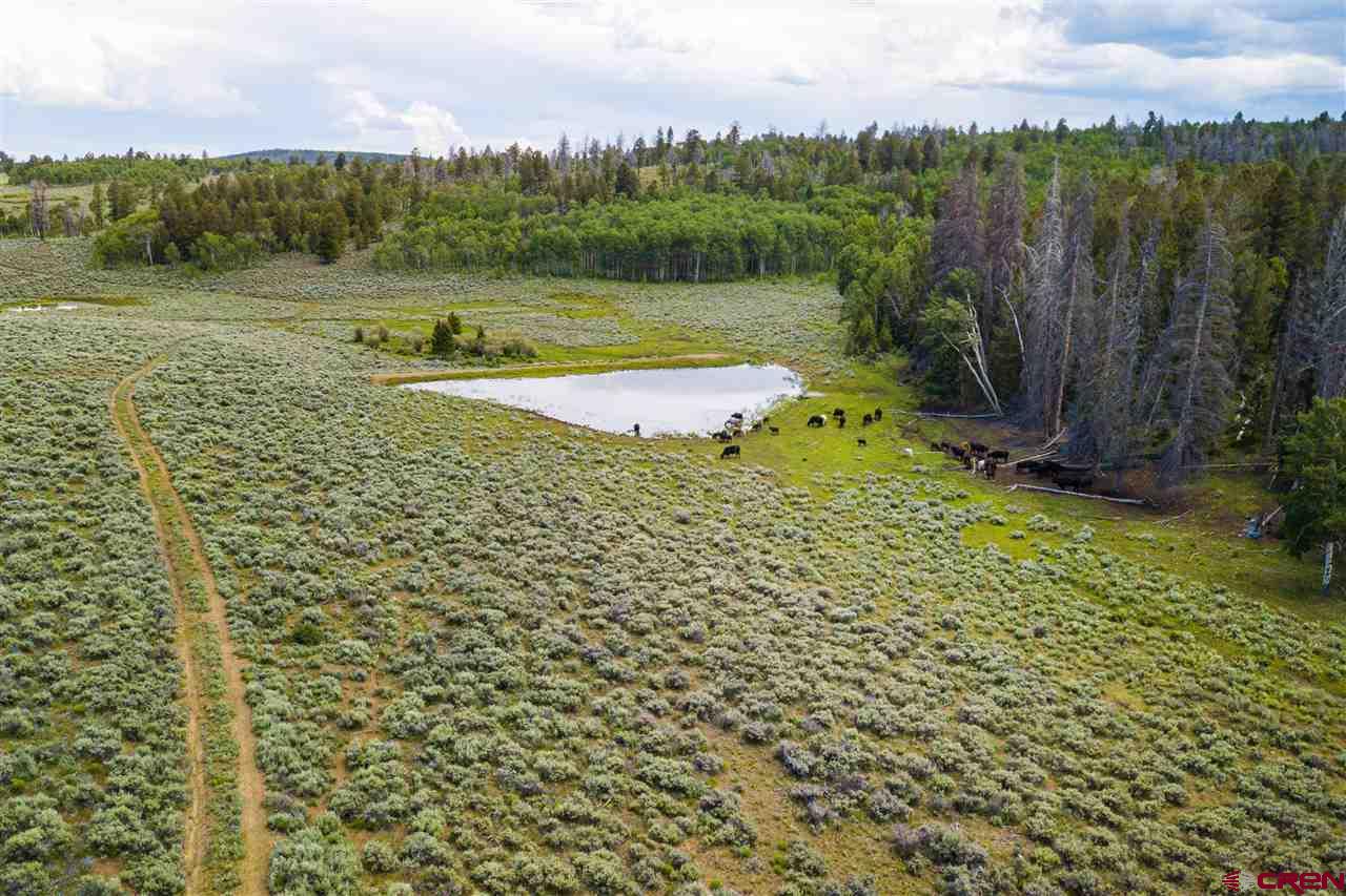 Blm Road 3063 Gunnison, CO 81230 - Photo 9 of 15 a view of a water pond with green yard