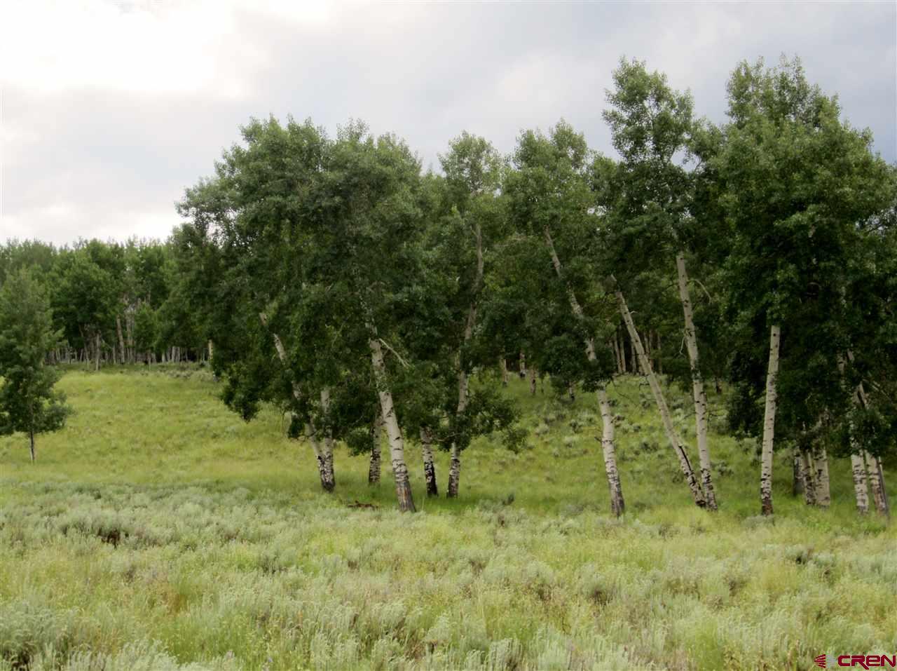 Blm Road 3063 Gunnison, CO 81230 - Photo 10 of 15 a view of outdoor space and trees