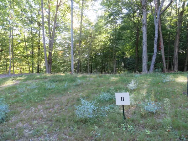 $245,000 | 8700 Rainbows End Road Southeast, Unit PARCEL #8, Caledonia, MI 49316