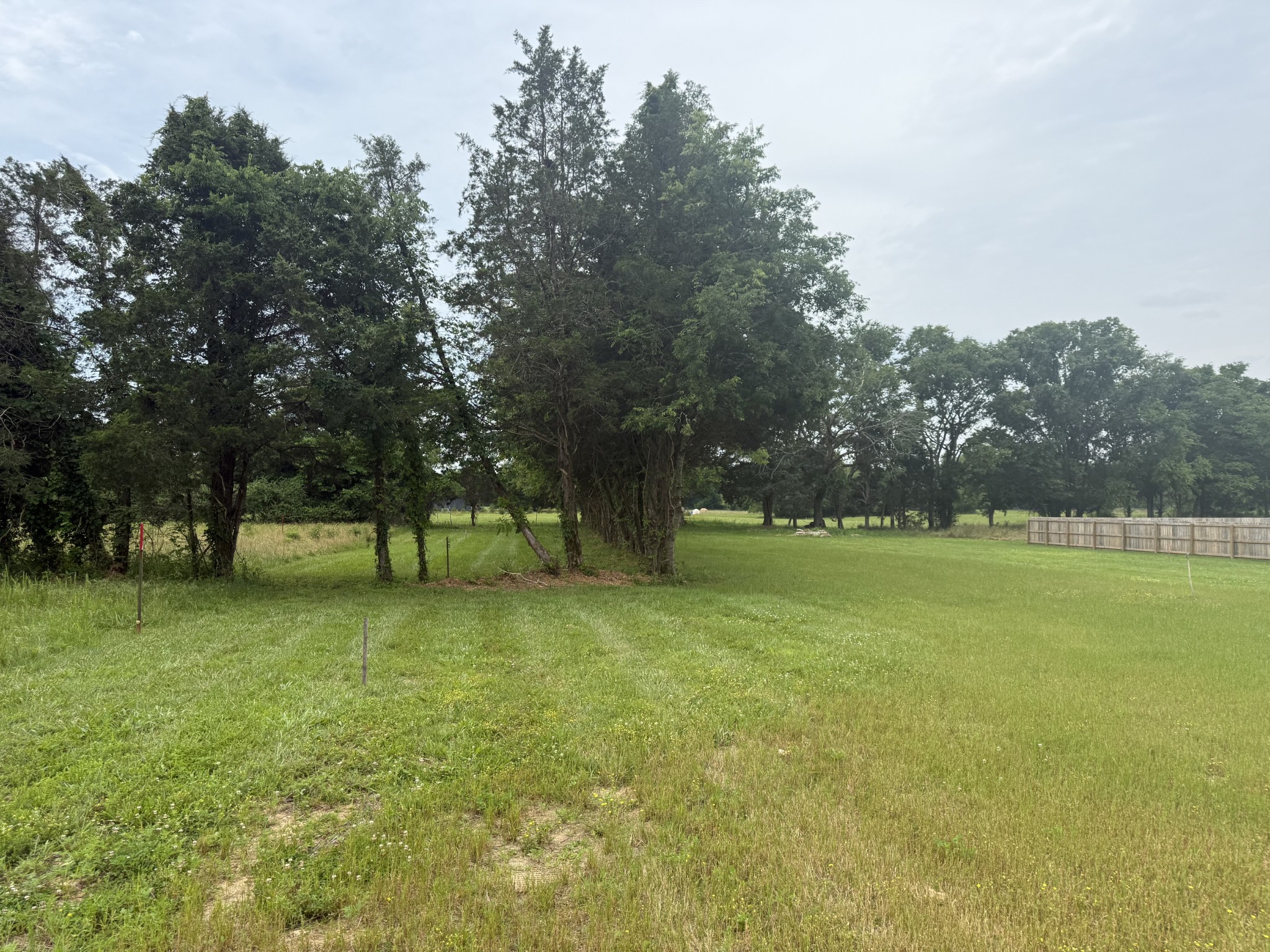 2120 Hamilton Chambers Road Lebanon, TN 37087 - Photo 53 of 58