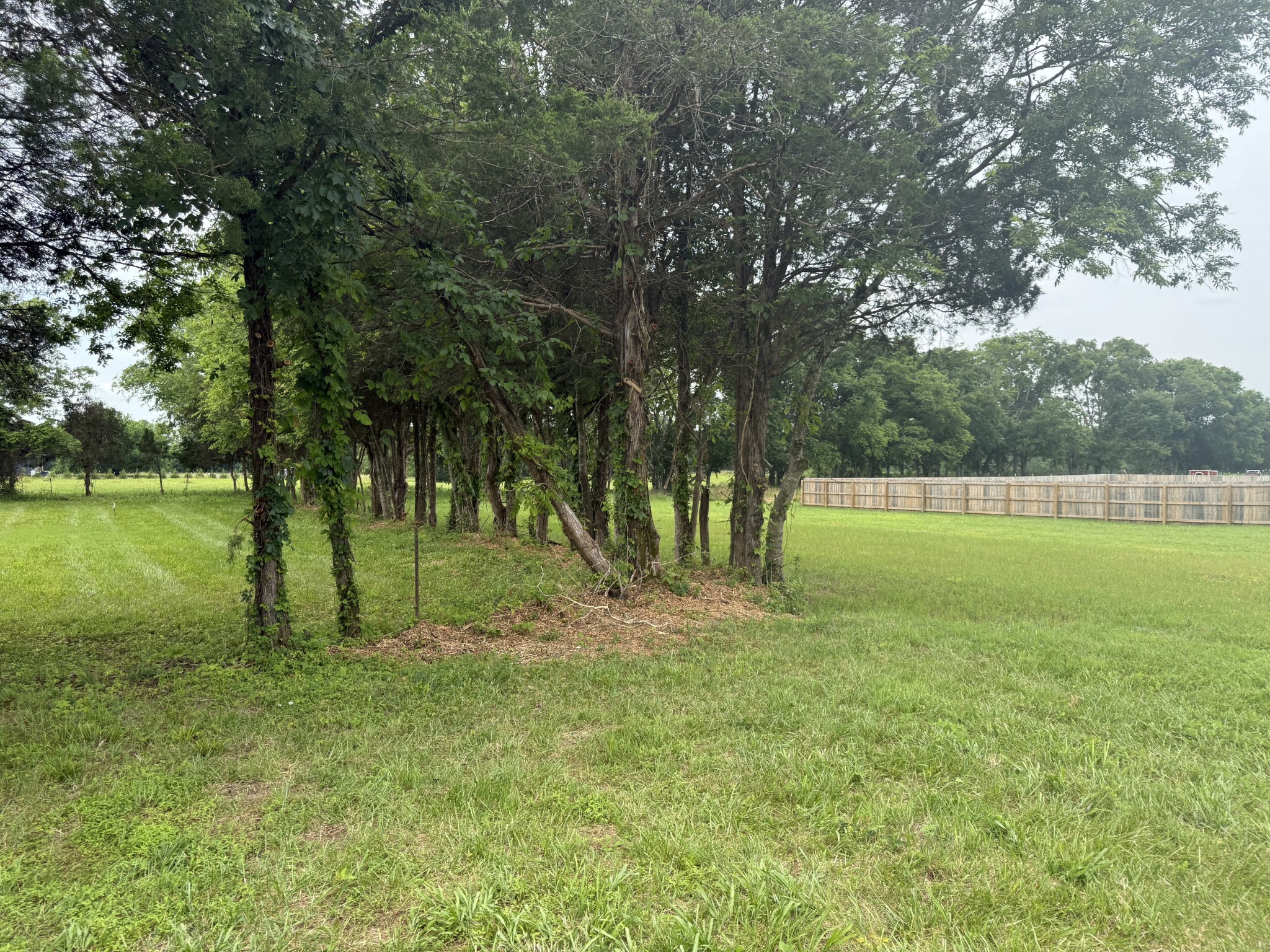 2120 Hamilton Chambers Road Lebanon, TN 37087 - Photo 56 of 58