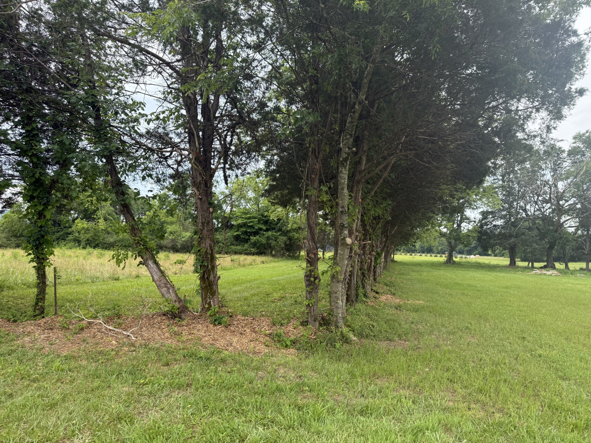 2120 Hamilton Chambers Road Lebanon, TN 37087 - Photo 57 of 58