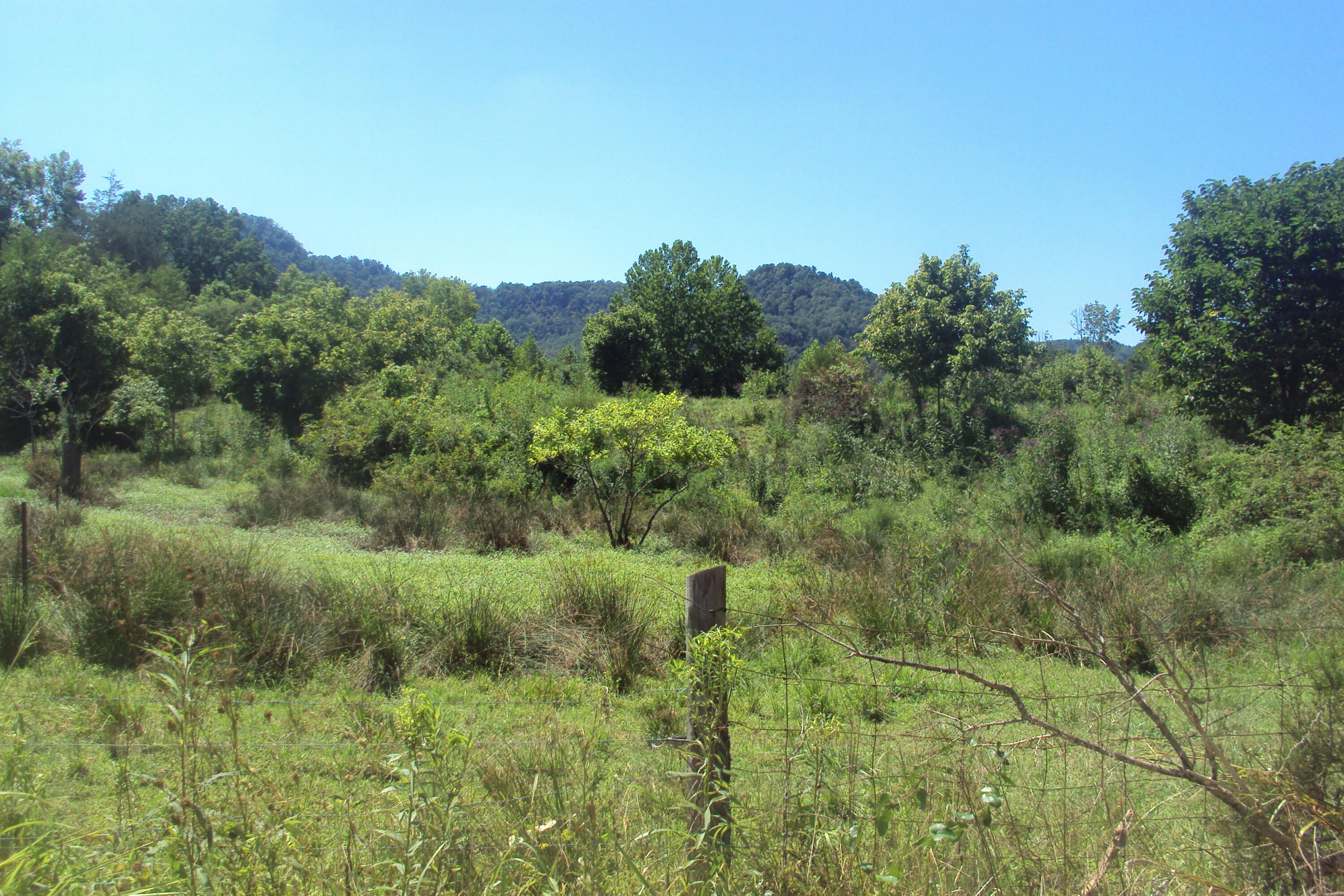 1 Red Lick Road Irvine, KY 40336 - Photo 36 of 48 DSC03973