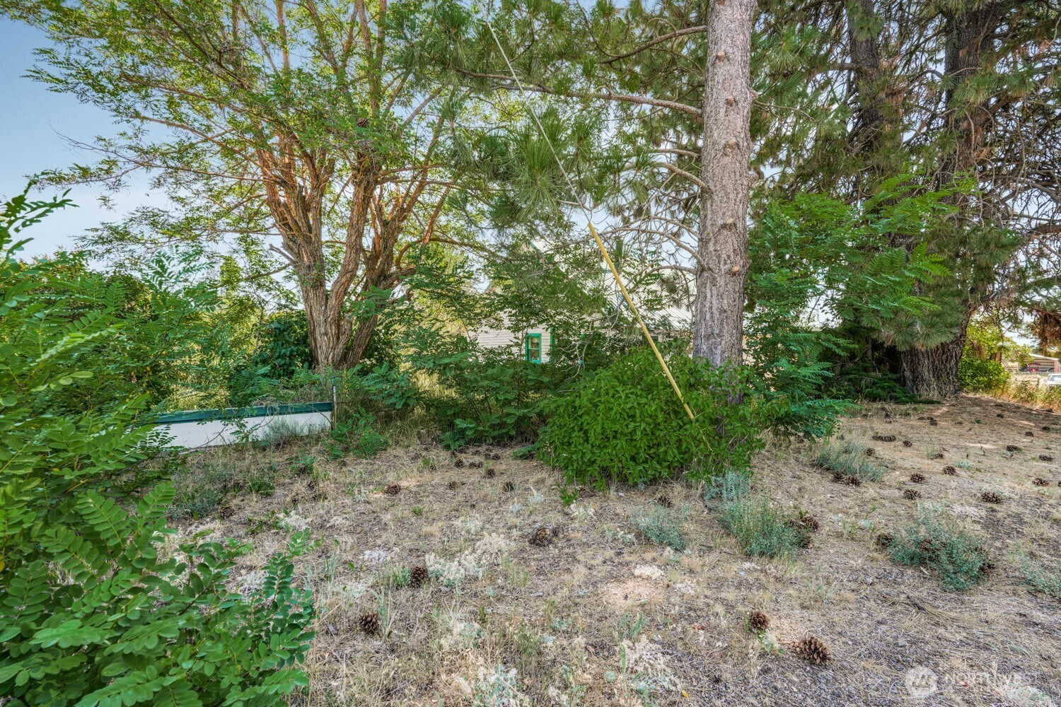 3220 Bickleton Highway Roosevelt, WA 99356 - Photo 12 of 17 a big yard with lots of green space and deers
