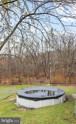 a view of a yard with large trees