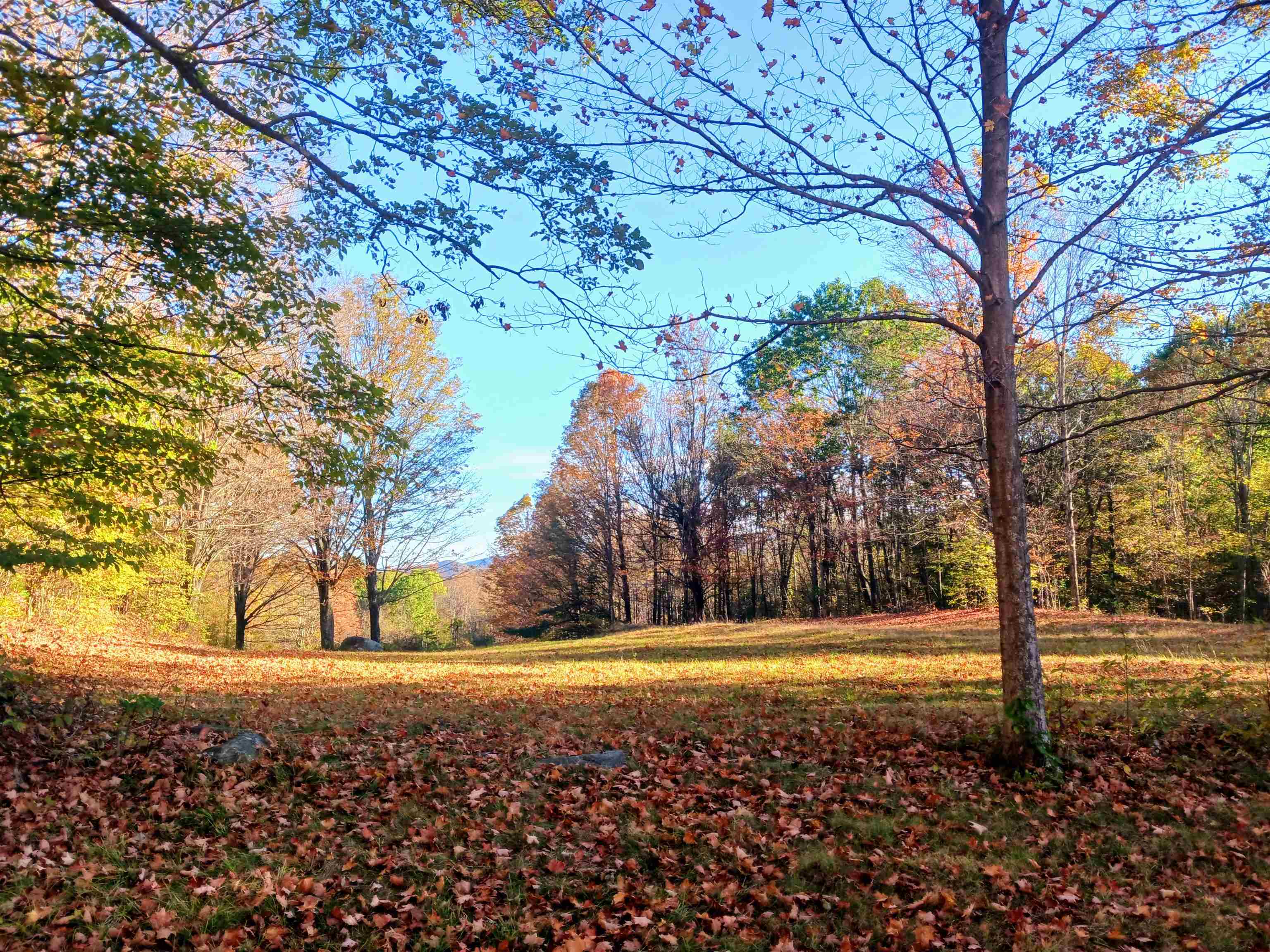 1096 Th16 Pawlet, VT 05775 - Photo 2 of 12