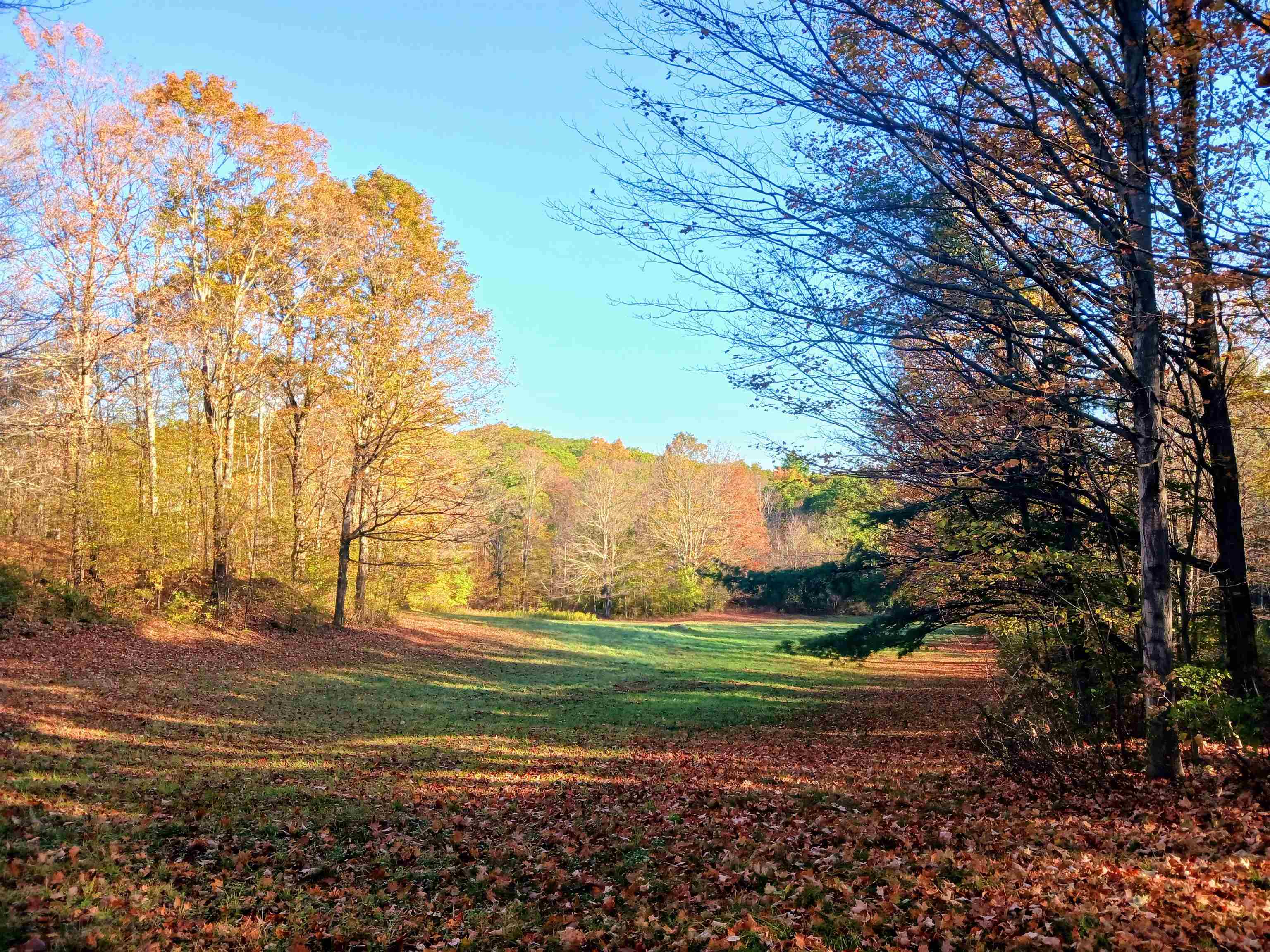 1096 Th16 Pawlet, VT 05775 - Photo 4 of 12