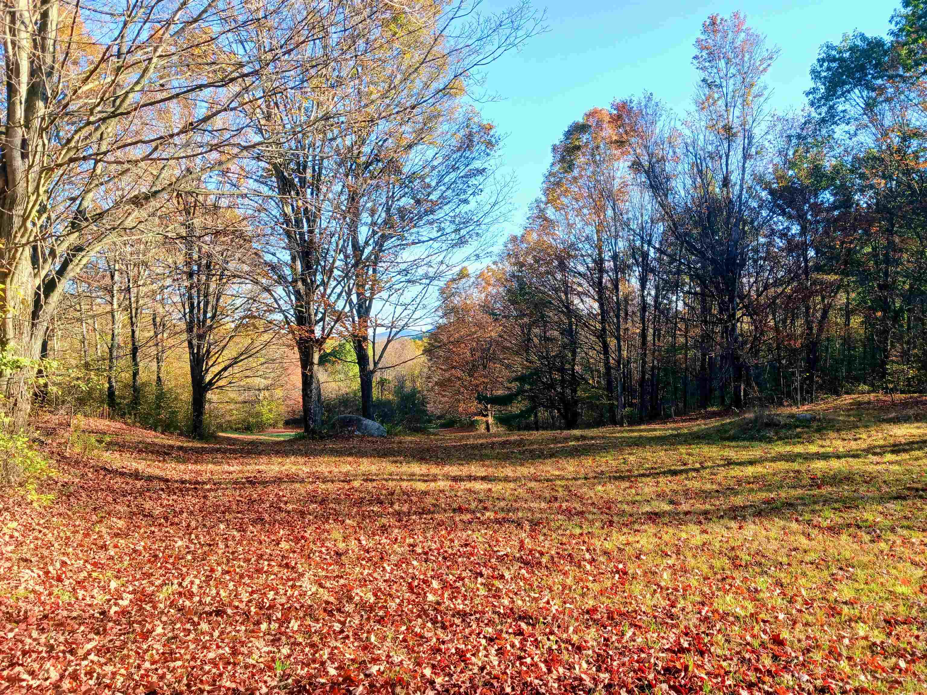 1096 Th16 Pawlet, VT 05775 - Photo 5 of 12