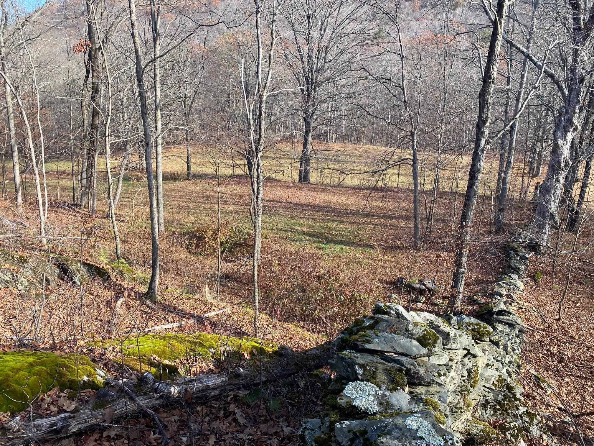 1096 Th16 Pawlet, VT 05775 - Photo 8 of 12