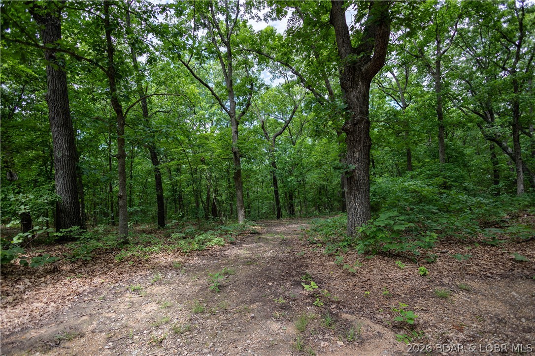 55 Mackey Road Rocky Mount, MO 65072 - Photo 26 of 31