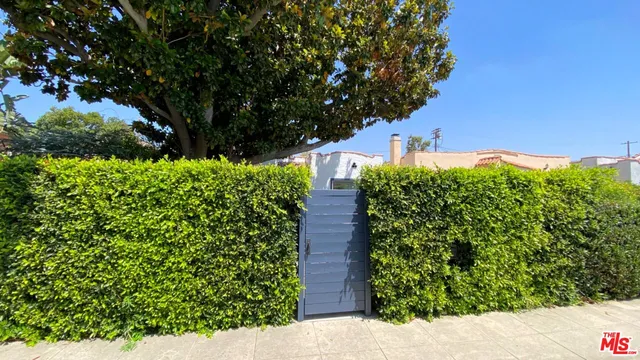 a view of a garden with plants
