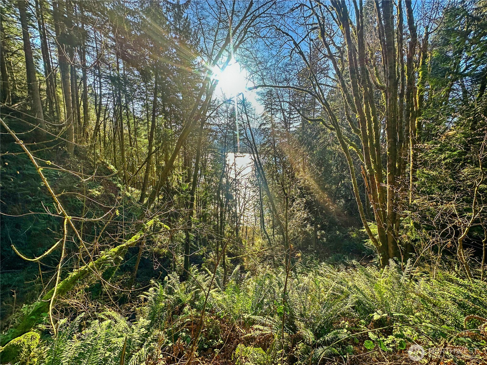 26 Riverview East Road Cathlamet, WA 98612 - Photo 25 of 31 Gallery Image 25