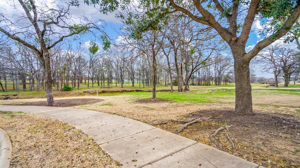 3206 Bedford Road Bedford, TX 76021 - Photo 25 of 26 a view of a yard with palm trees