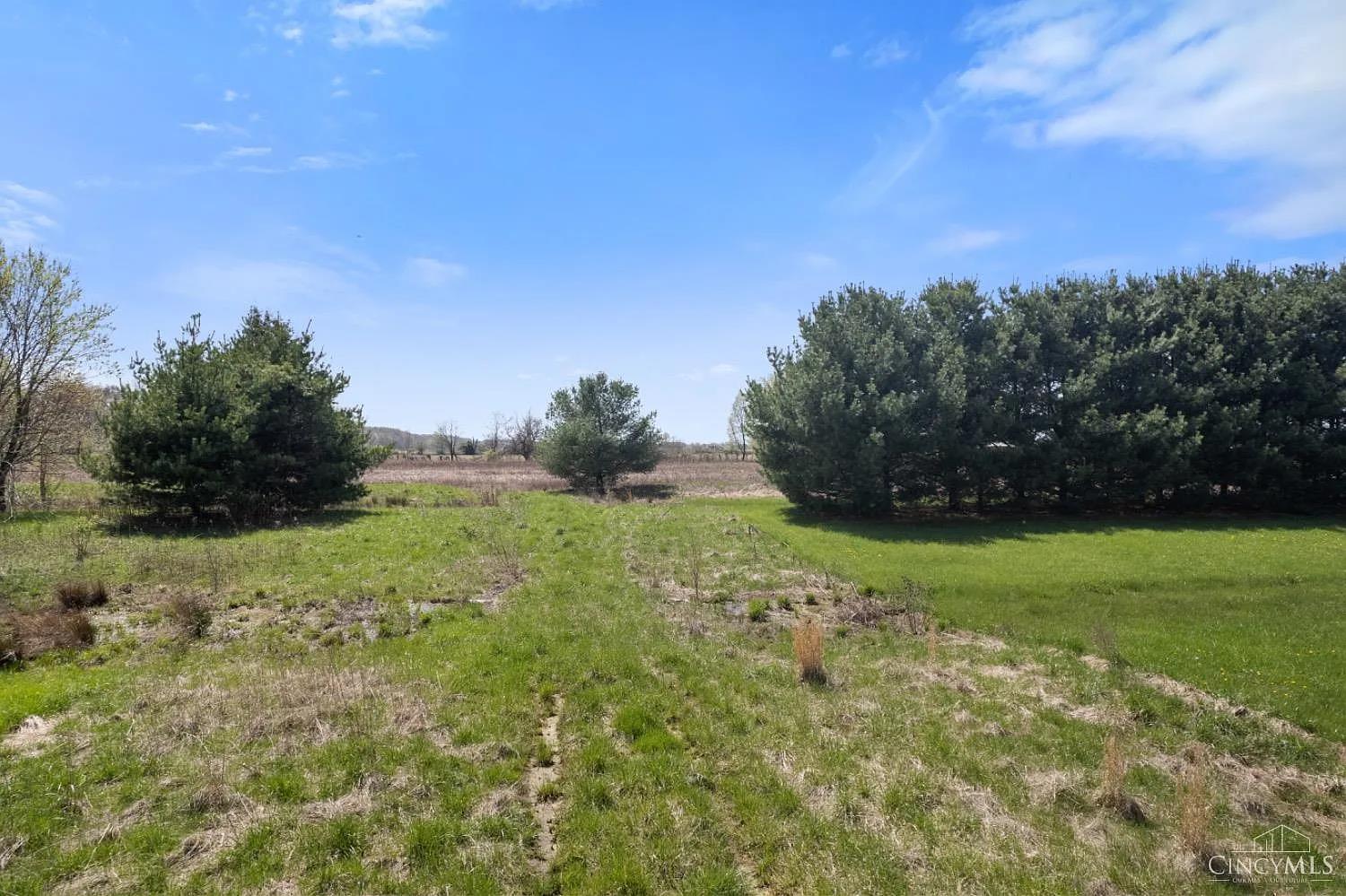 597 Haynes Road Blanchester, OH 45107 - Photo 4 of 9