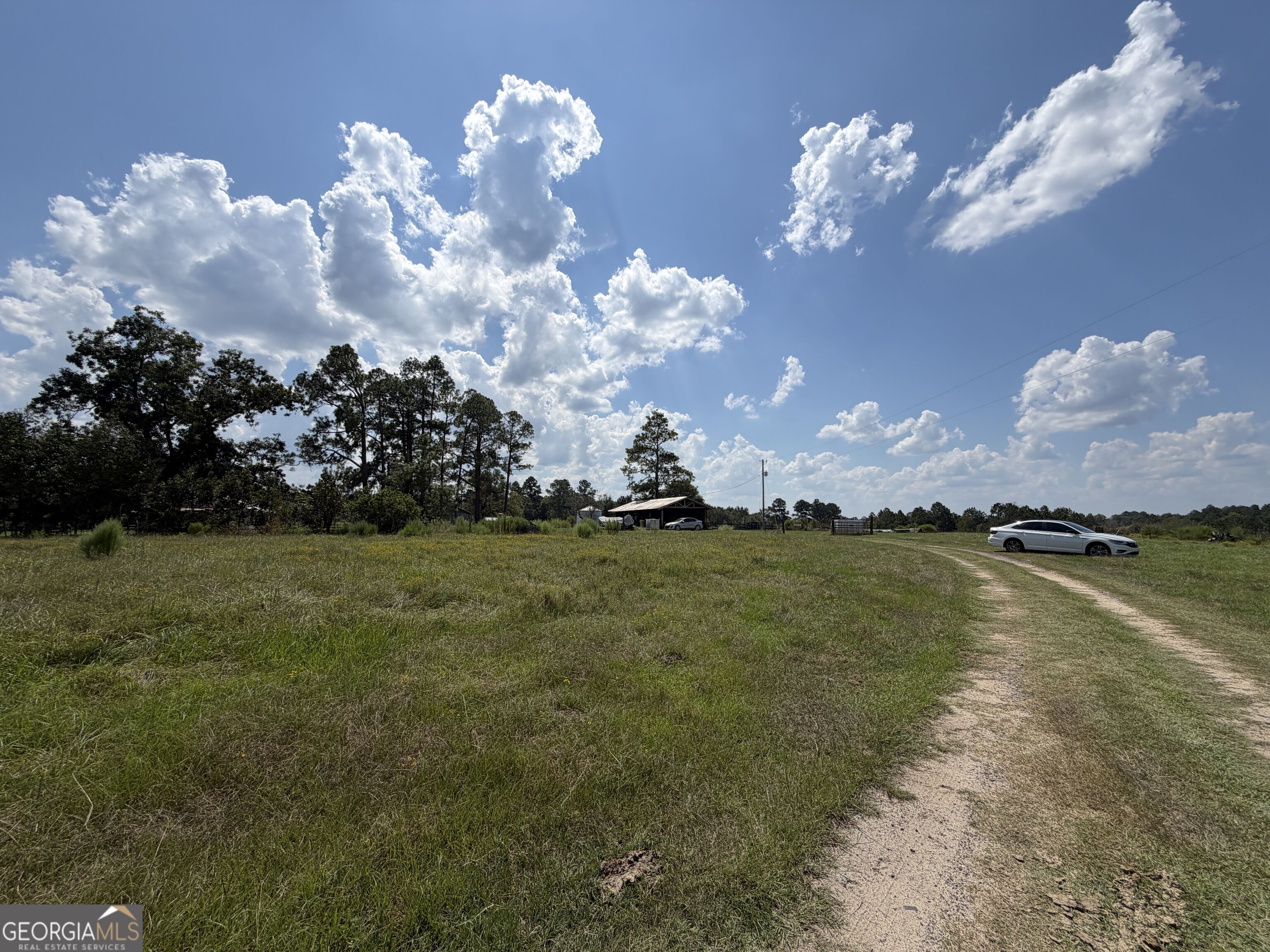 23.03-acres Carters Bridge Road Claxton, GA 30417 - Photo 5 of 20 Gallery Image 5