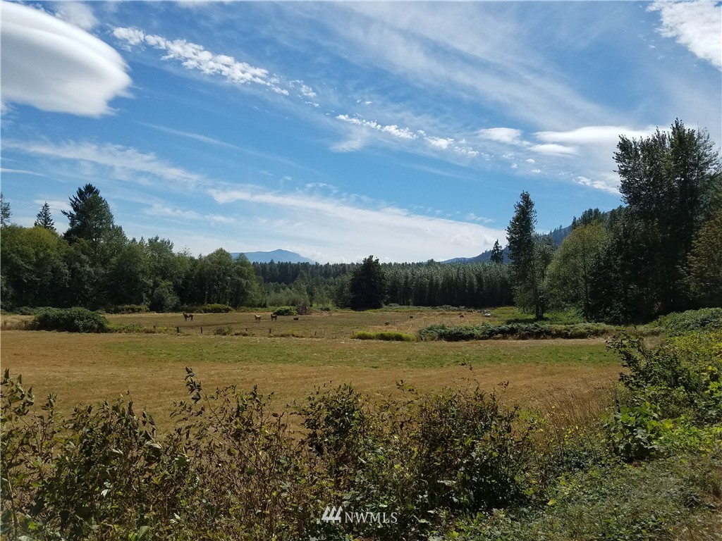 3780 Hillside Road Deming, WA 98244 - Photo 2 of 8