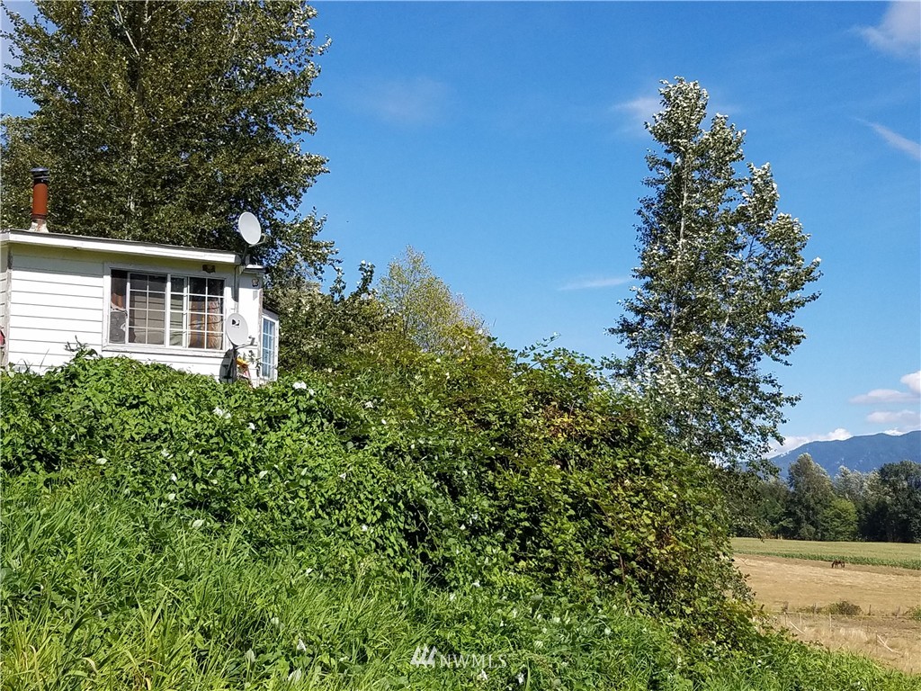 3780 Hillside Road Deming, WA 98244 - Photo 3 of 8