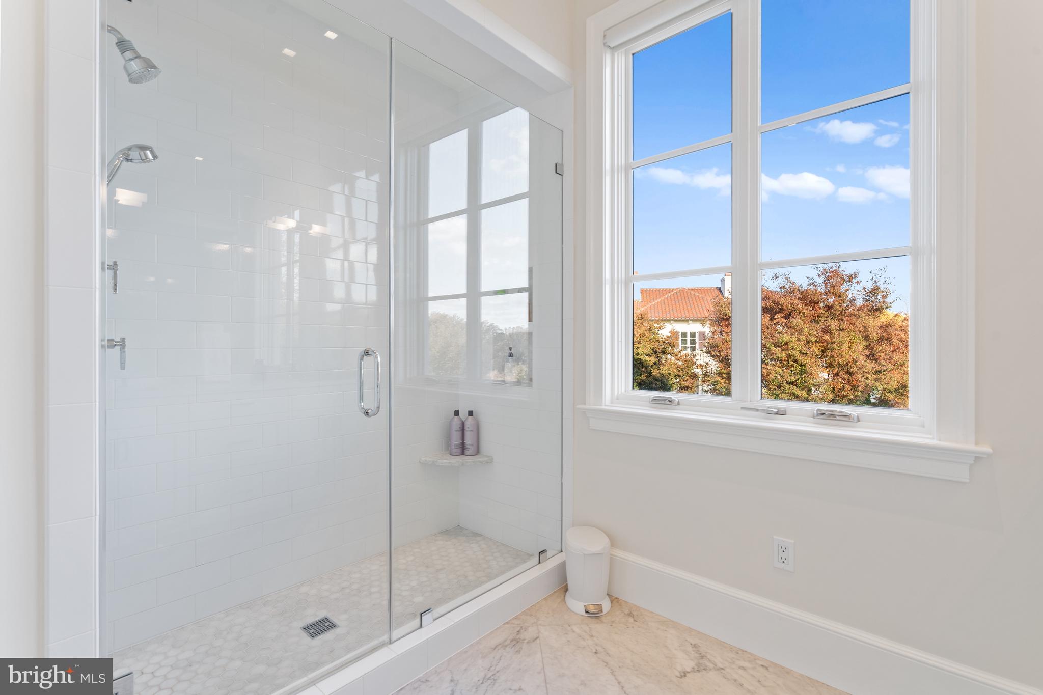 2109 Dunmore Lane Washington, DC 20007 - Photo 56 of 92 a bathroom with a shower