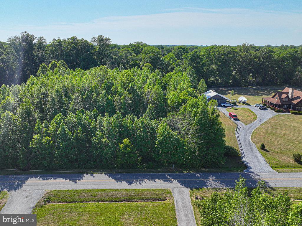 Lot 7 Bell Road Whaleyville, MD 21872 - Photo 3 of 20
