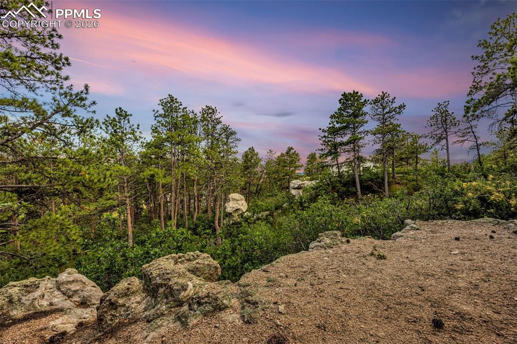 205 Cobblestone Way Monument, CO 80132 - Photo 40 of 45 a outdoor space with lots of trees in the background