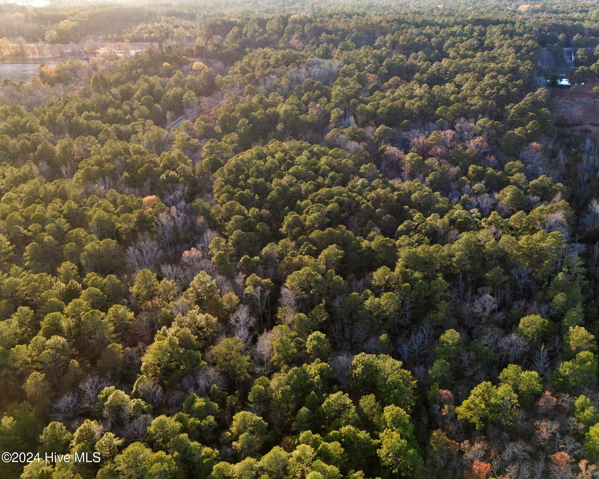 Lot 1 McGill Road Cameron, NC 28326 - Photo 6 of 7 tempImagemJ1XfK