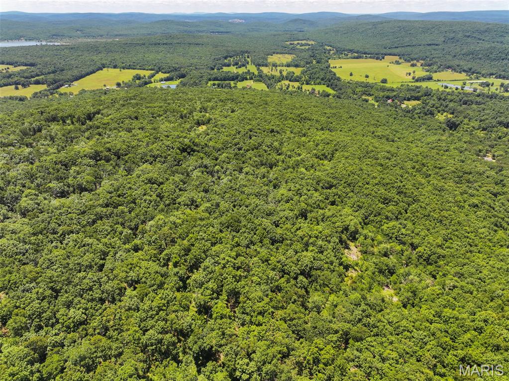 1 King School Road Ironton, MO 63650 - Photo 7 of 27
