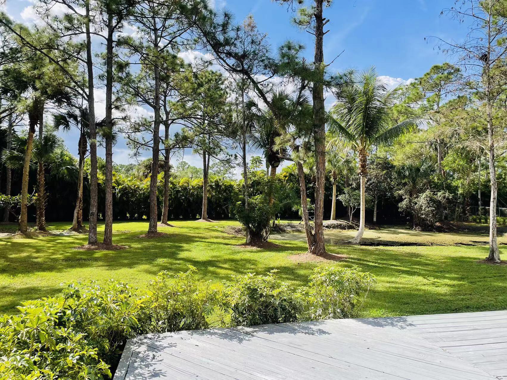9296 166th Way North Jupiter, FL 33478 - Photo 26 of 31 a view of a swimming pool with a big yard and palm trees