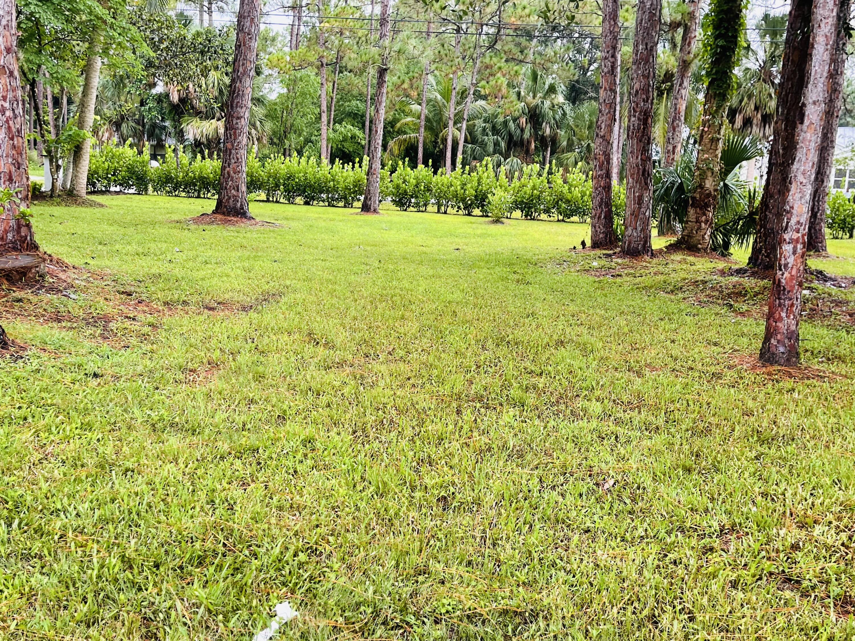 9296 166th Way North Jupiter, FL 33478 - Photo 31 of 31 a view of a trees with a big yard