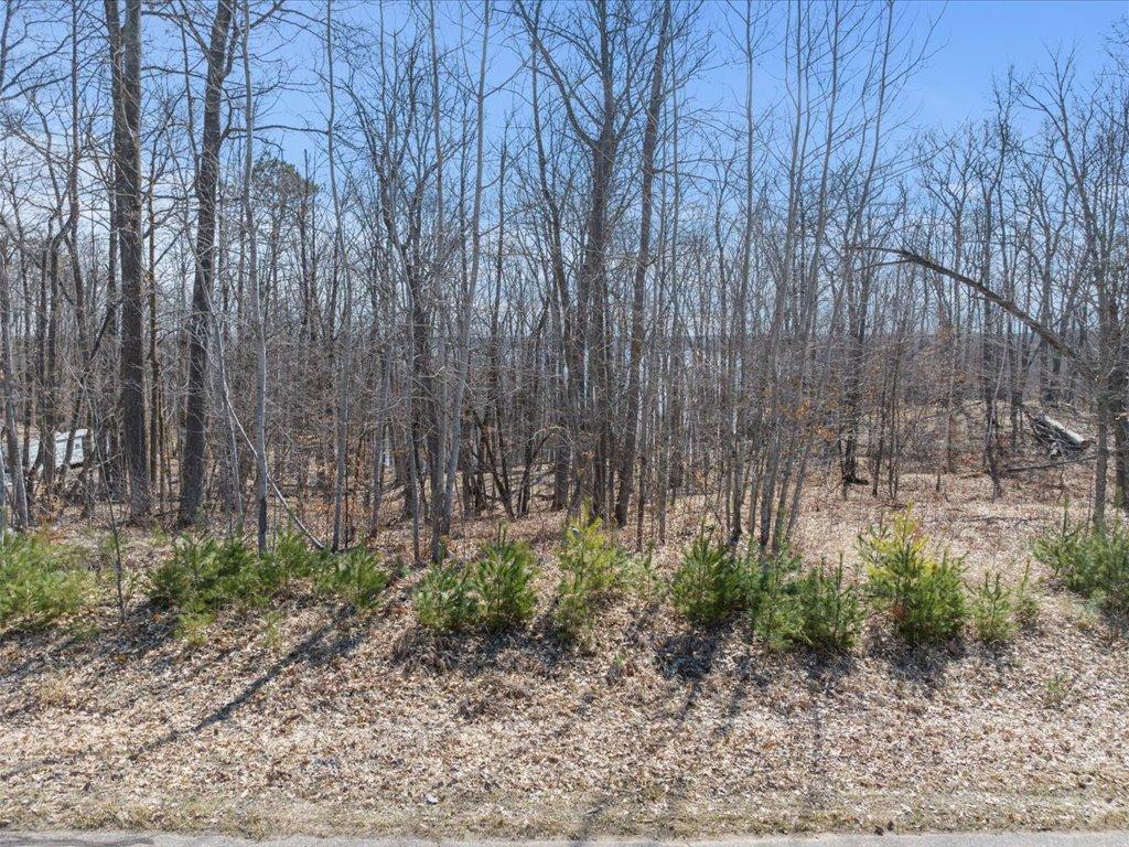 22311 Shadow Point Emily, MN 56447 - Photo 11 of 12