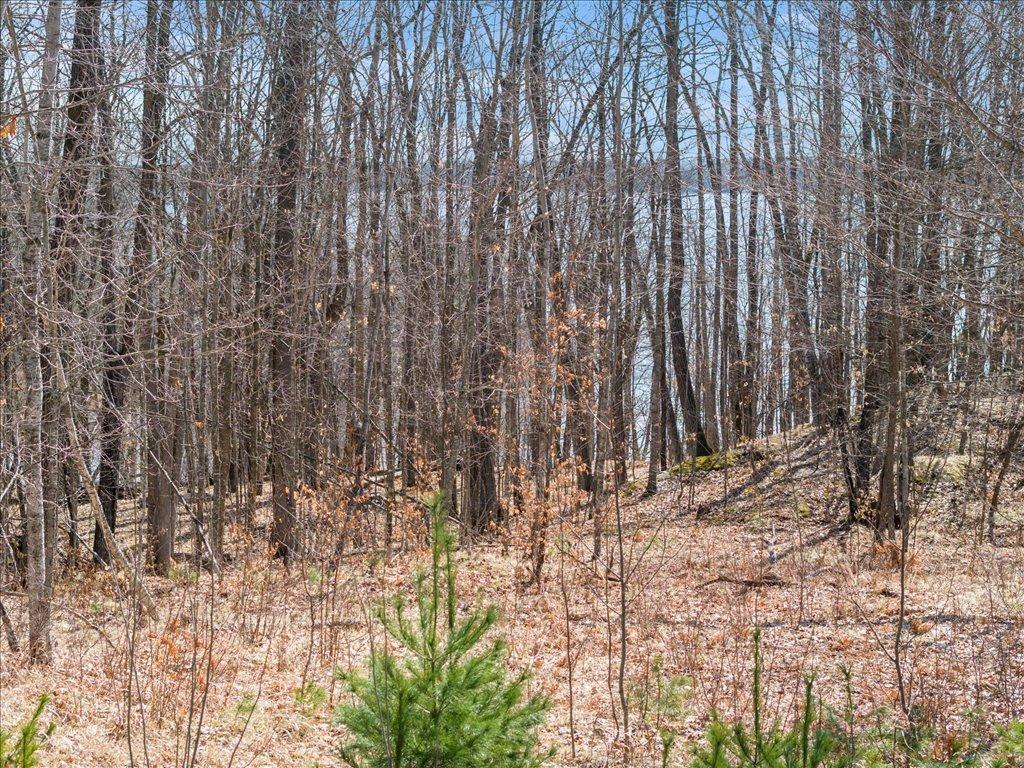 22311 Shadow Point Emily, MN 56447 - Photo 12 of 12