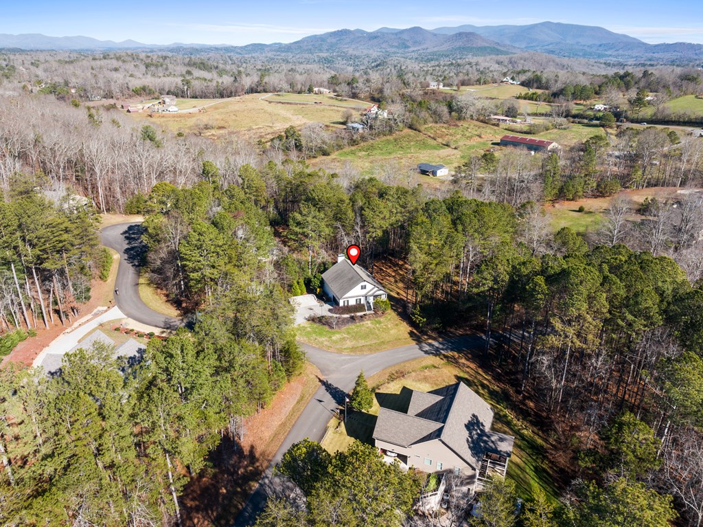 41 Brumby Trail Ellijay, GA 30536 - Photo 10 of 39