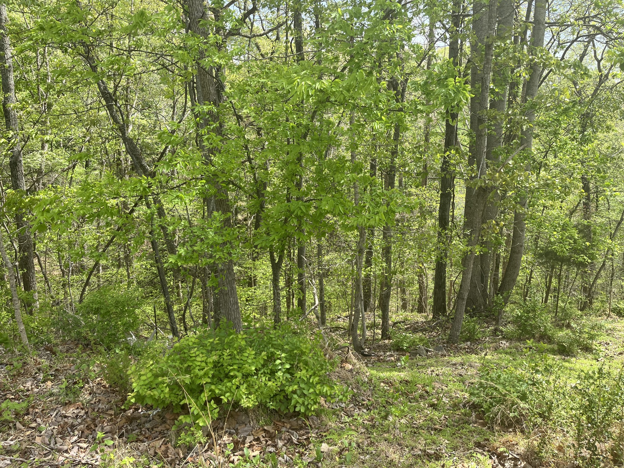 2222 Valley View Road Joelton, TN 37080 - Photo 29 of 29