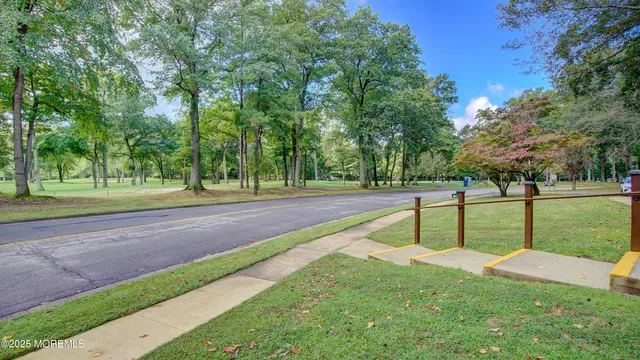 a view of park with trees