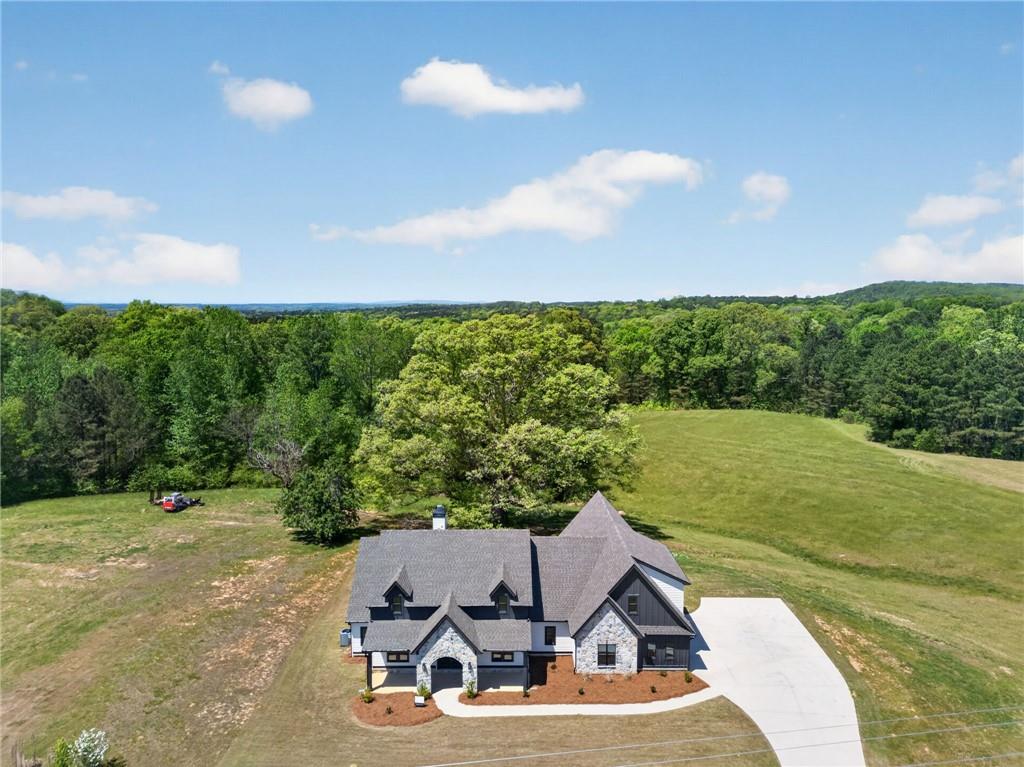 728 Lake Cir Road Buchanan, GA 30113 - Photo 3 of 49