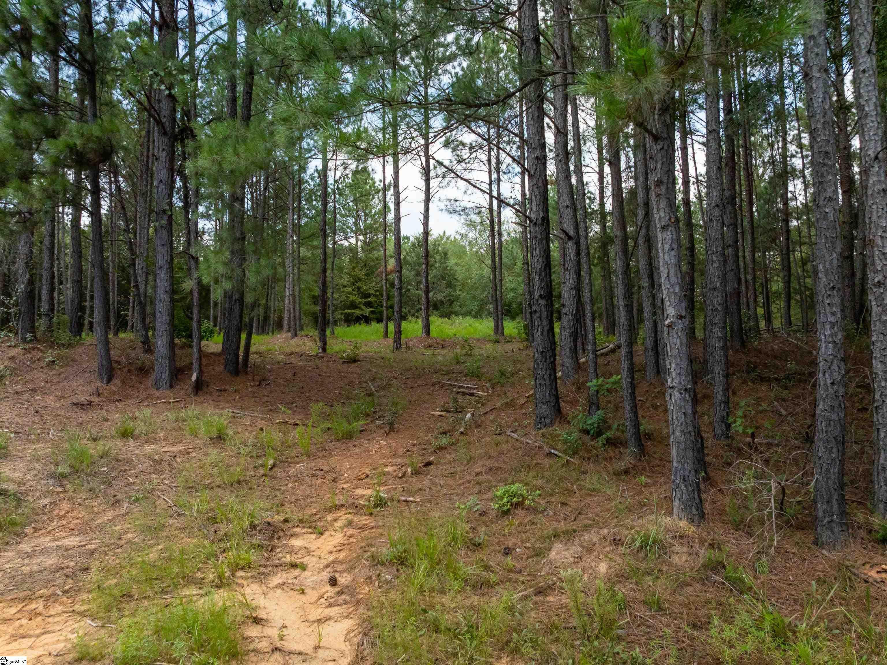 2 Neal Shoals Road Union, SC 29379 - Photo 3 of 47