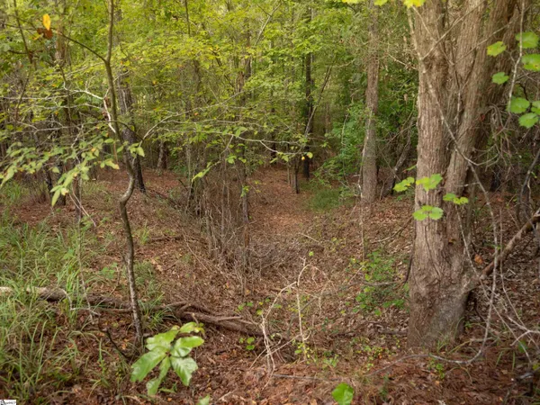 $35,000 | 2 Neal Shoals Road, Union, SC 29379