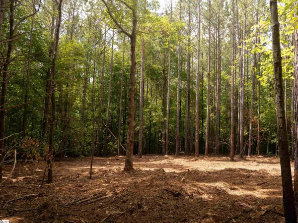 $35,000 | 2 Neal Shoals Road, Union, SC 29379