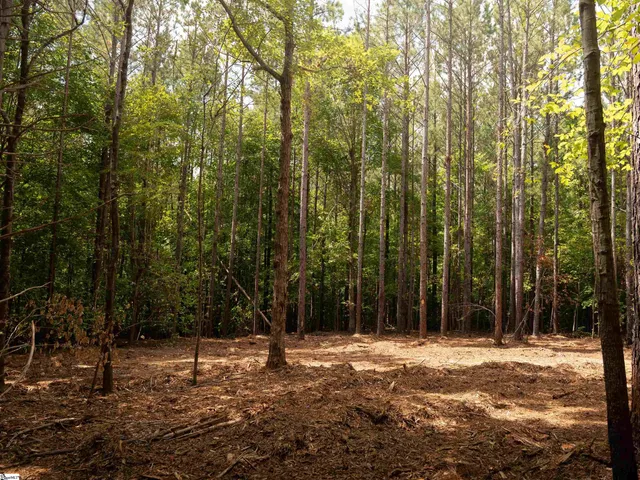 $35,000 | 2 Neal Shoals Road, Union, SC 29379