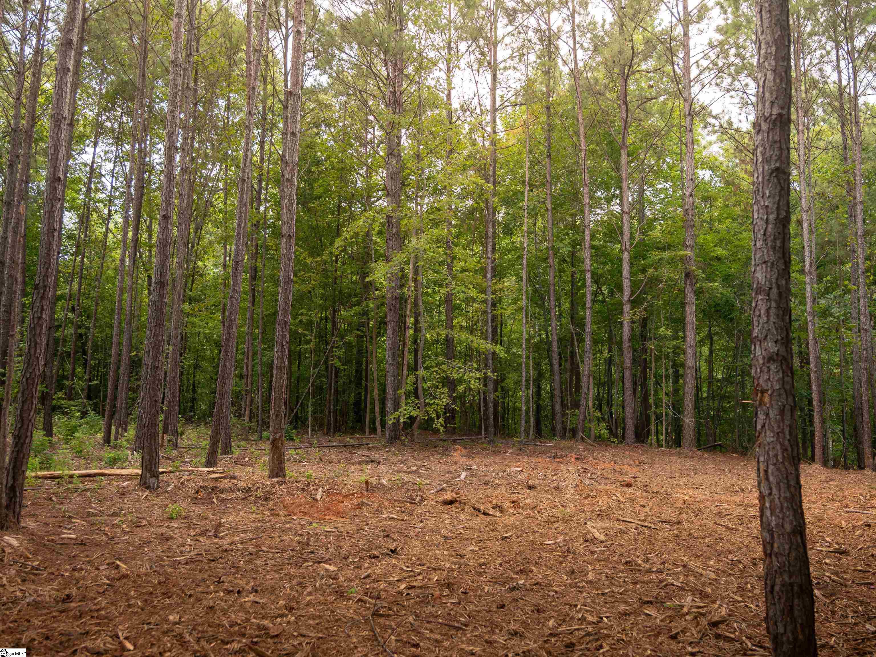 2 Neal Shoals Road Union, SC 29379 - Photo 45 of 47